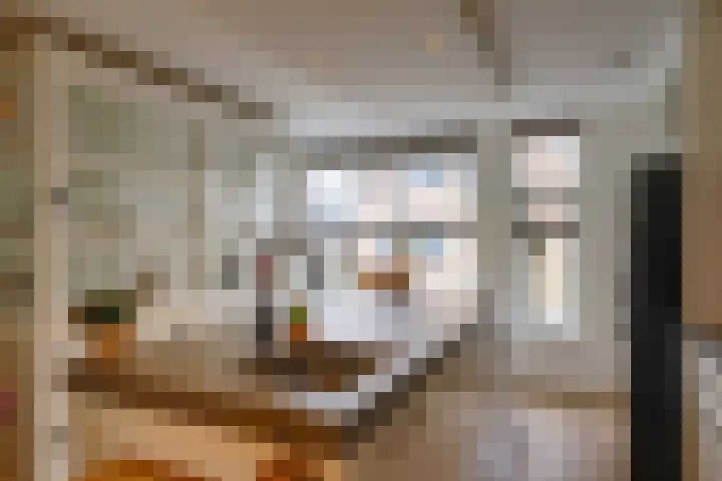 Jacques Bloemhof 99 Hoorn thumbnail 12