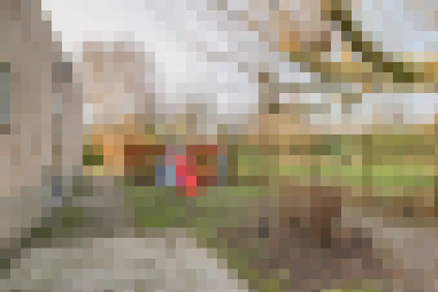 Jacques Bloemhof 99 Hoorn thumbnail 35