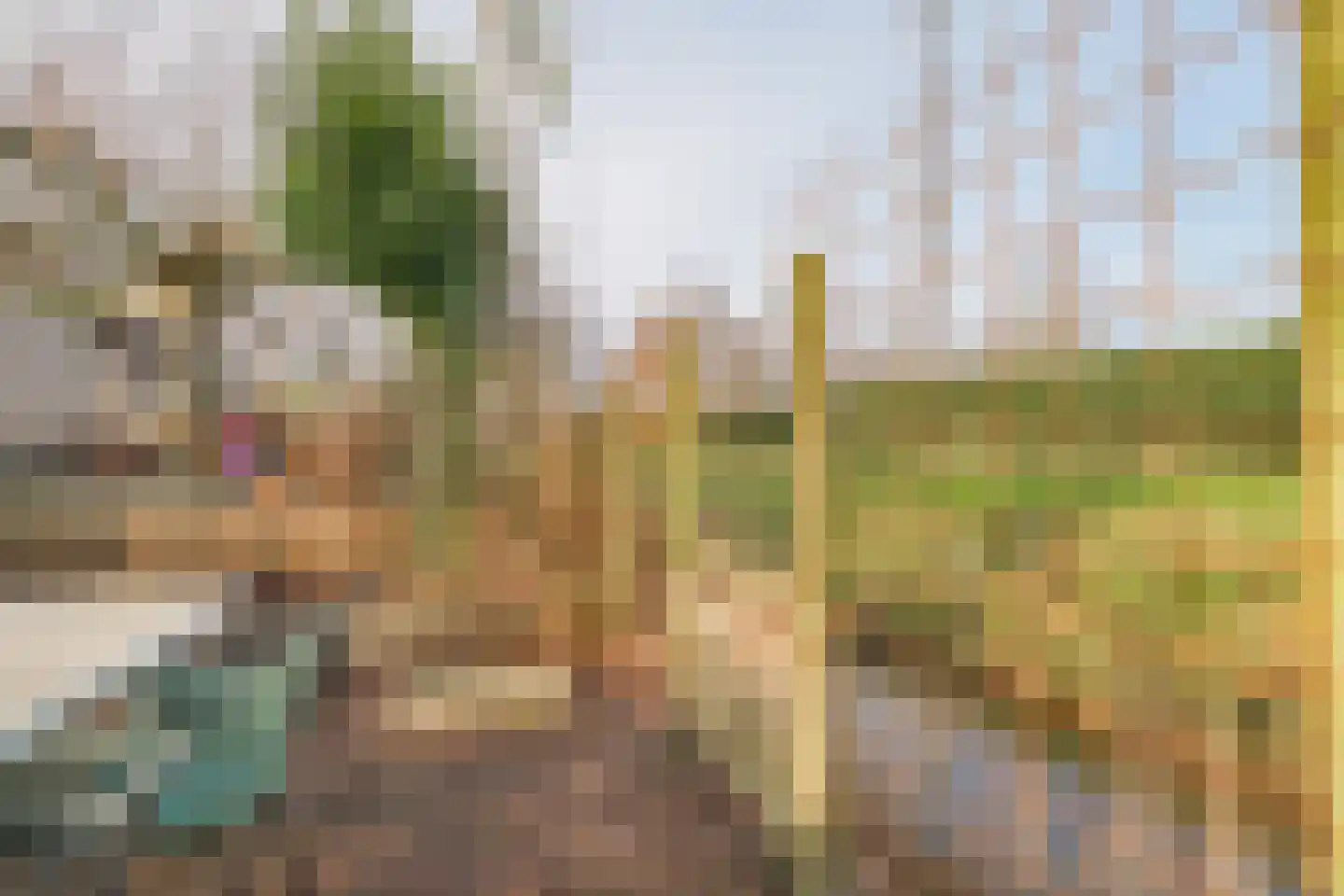 Jacques Bloemhof 99 Hoorn thumbnail 37