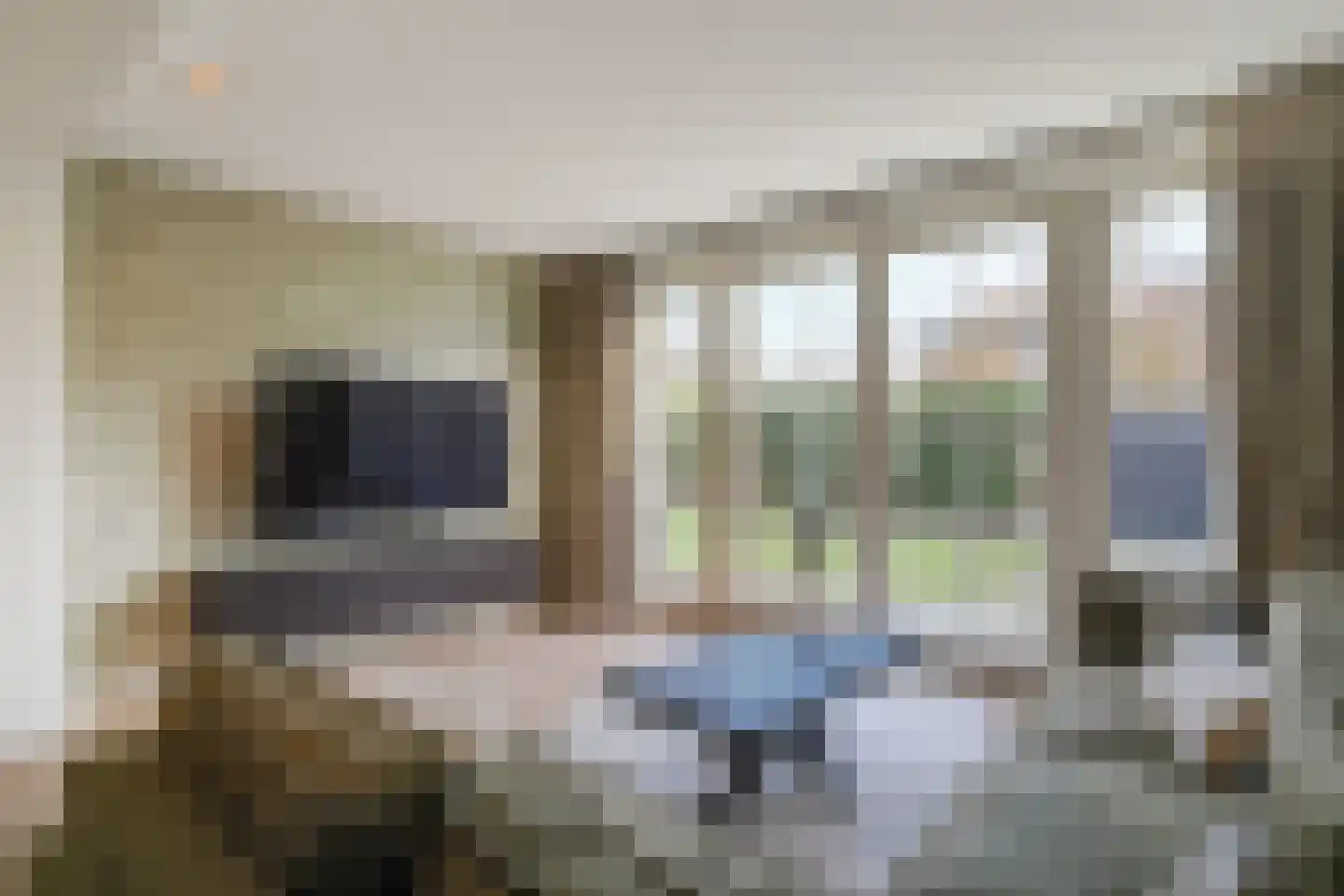 Jacques Bloemhof 99 Hoorn thumbnail 4