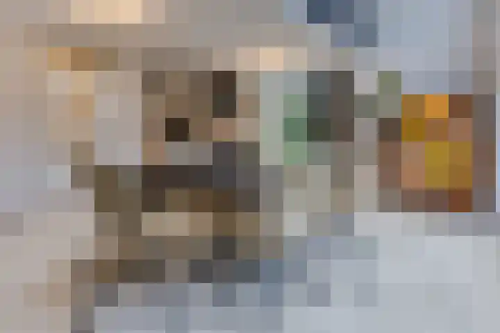 Jacques Dutilhweg 259 Rotterdam thumbnail 11