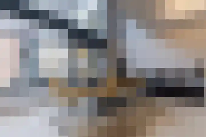 Jacques Dutilhweg 259 Rotterdam thumbnail 12