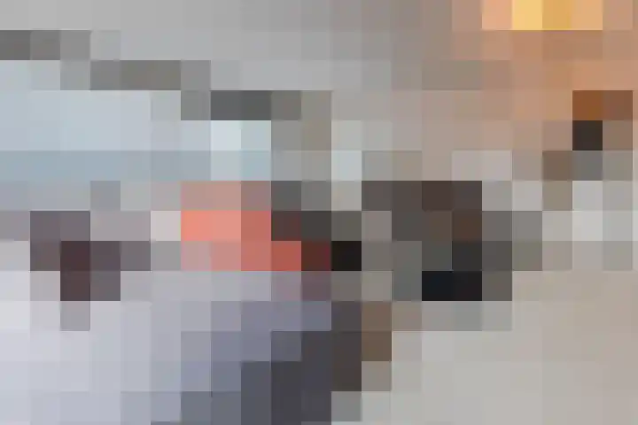Jacques Dutilhweg 259 Rotterdam thumbnail 22