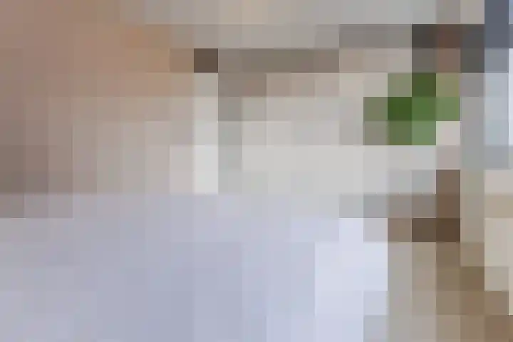 Jacques Dutilhweg 259 Rotterdam thumbnail 25