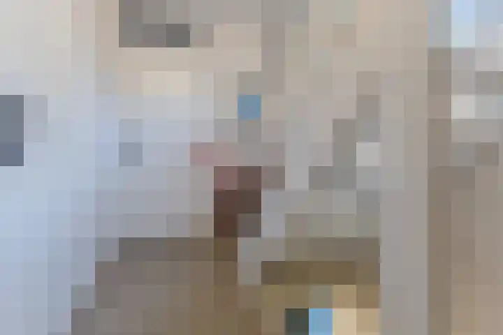 Jacques Dutilhweg 259 Rotterdam thumbnail 32