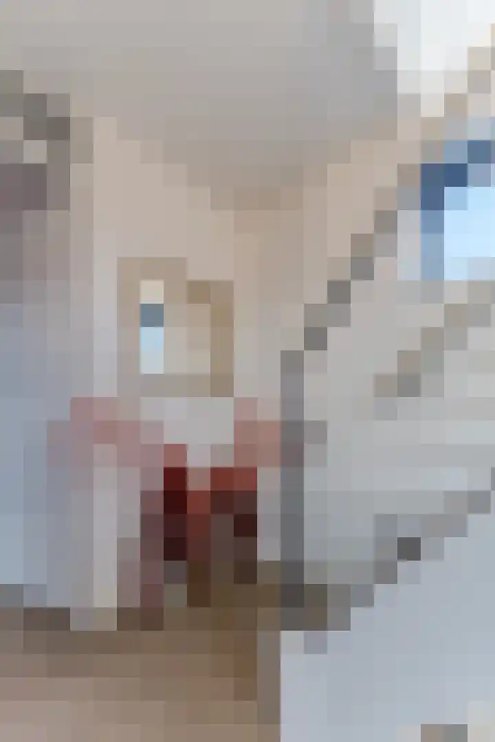 Jacques Dutilhweg 259 Rotterdam thumbnail 33
