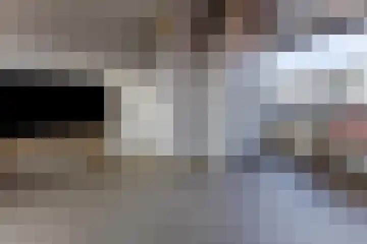 Jacques Dutilhweg 259 Rotterdam thumbnail 36