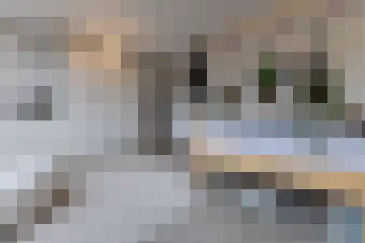 Jacques Dutilhweg 259 Rotterdam thumbnail 45
