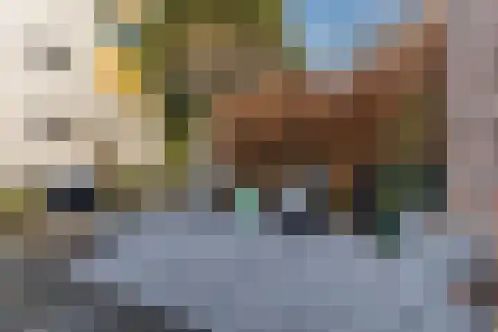 Jacques Dutilhweg 259 Rotterdam thumbnail 52
