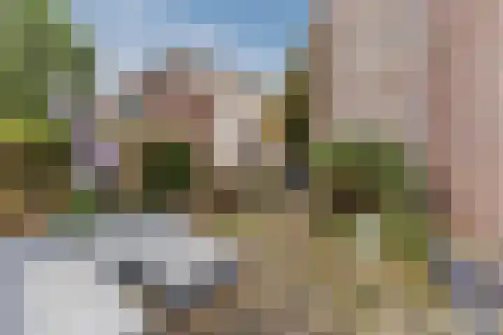Jacques Dutilhweg 259 Rotterdam thumbnail 54