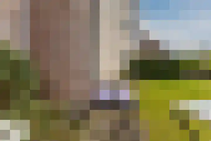 Jacques Dutilhweg 259 Rotterdam thumbnail 57
