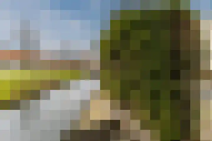 Jacques Dutilhweg 259 Rotterdam thumbnail 64