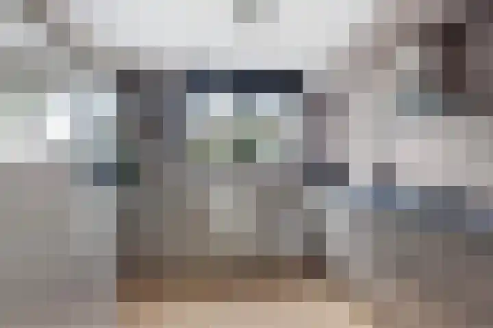 Jacques Dutilhweg 390 Rotterdam thumbnail 15