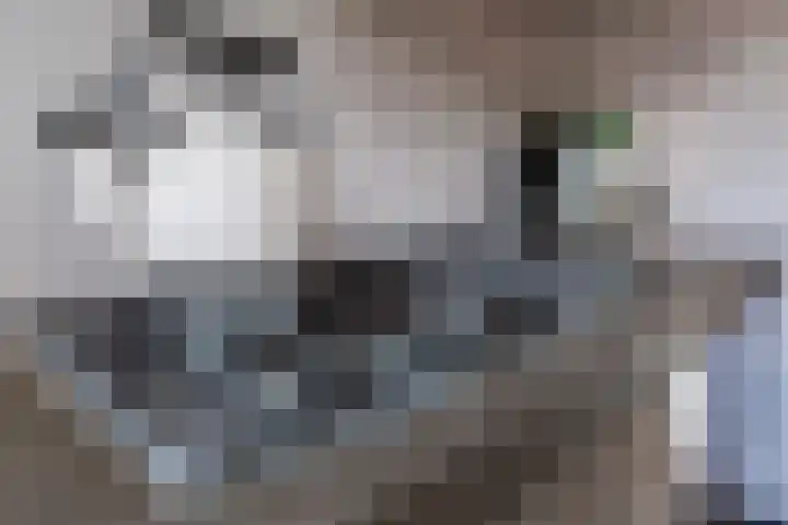 Jacques Dutilhweg 390 Rotterdam thumbnail 17