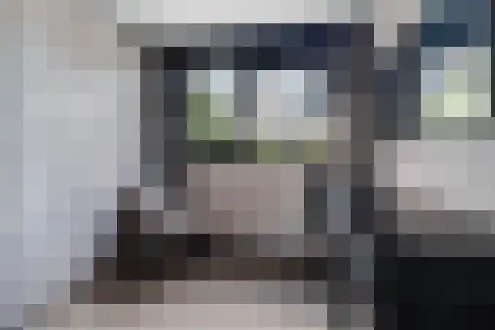 Jacques Dutilhweg 390 Rotterdam thumbnail 24