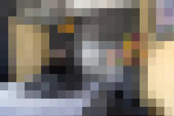 Jacques Dutilhweg 390 Rotterdam thumbnail 31