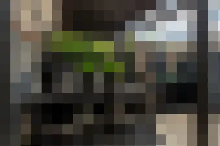 Jacques Dutilhweg 390 Rotterdam thumbnail 32