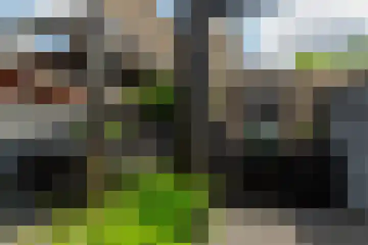 Jacques Dutilhweg 390 Rotterdam thumbnail 35