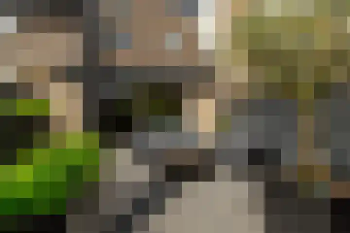 Jacques Dutilhweg 390 Rotterdam thumbnail 38