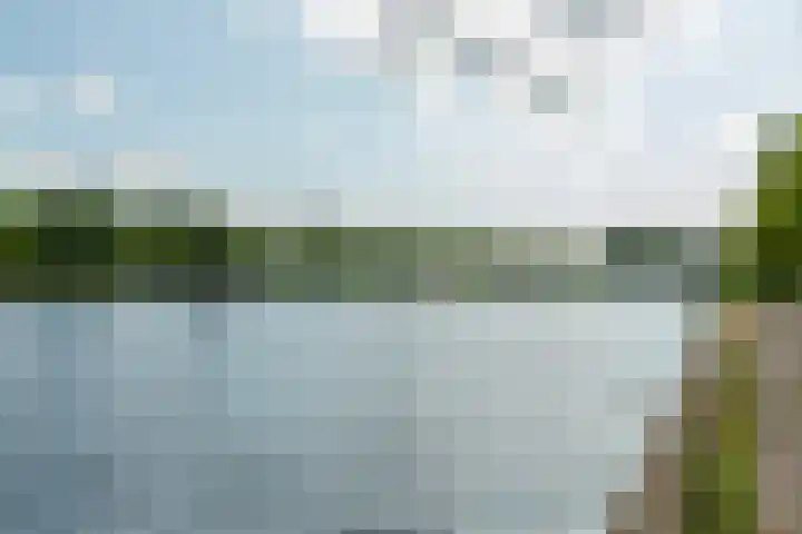 Jacques Dutilhweg 390 Rotterdam thumbnail 43