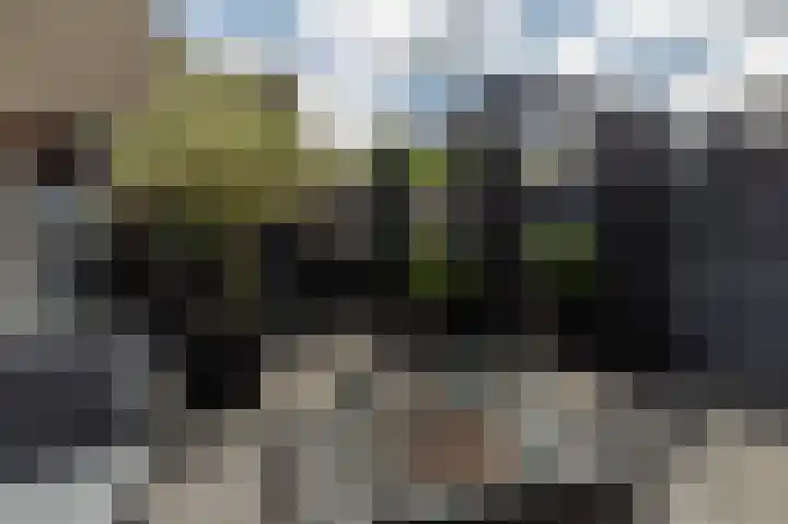 Jacques Dutilhweg 390 Rotterdam thumbnail 46