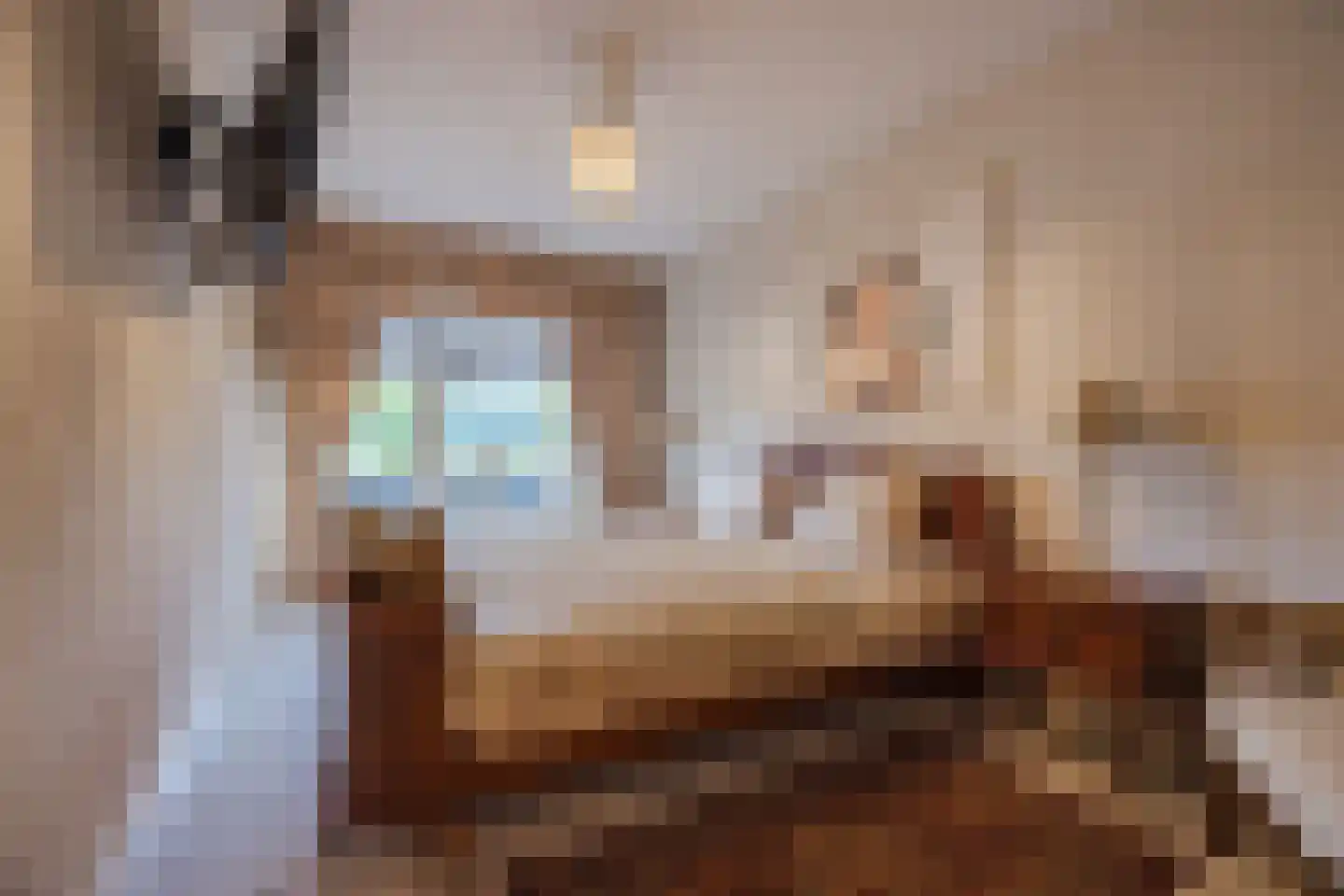 Jacques Dutilhweg 555 Rotterdam thumbnail 16