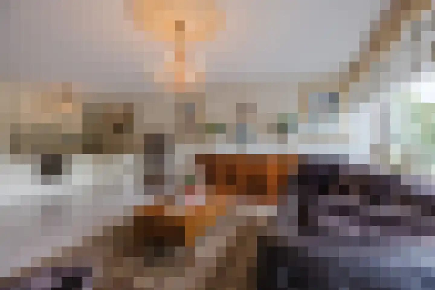Jacques Dutilhweg 555 Rotterdam thumbnail 5