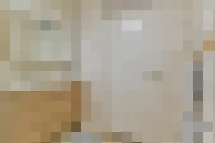Jacques Dutilhweg 599 Rotterdam thumbnail 15