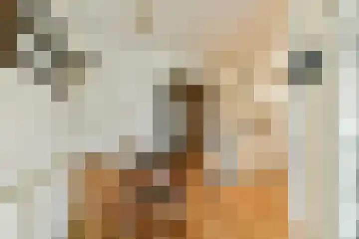 Jacques Dutilhweg 649 Rotterdam thumbnail 11