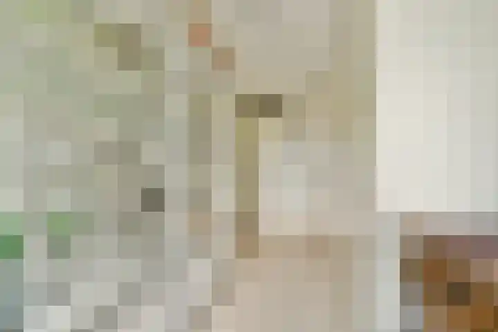 Jacques Dutilhweg 649 Rotterdam thumbnail 18
