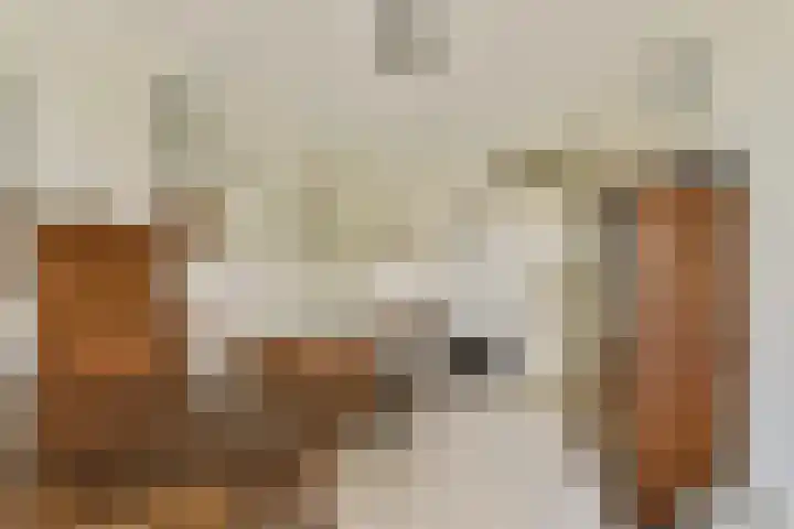 Jacques Dutilhweg 649 Rotterdam thumbnail 20