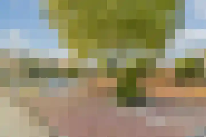 Jacques Dutilhweg 649 Rotterdam thumbnail 23