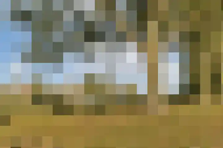Jacques Dutilhweg 649 Rotterdam thumbnail 28