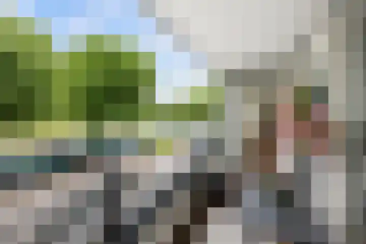 Jacques Dutilhweg 697 Rotterdam thumbnail 10