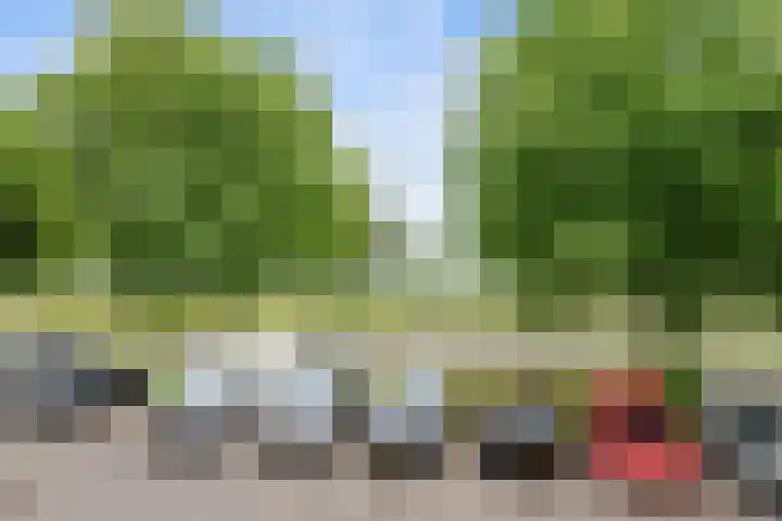 Jacques Dutilhweg 697 Rotterdam thumbnail 11