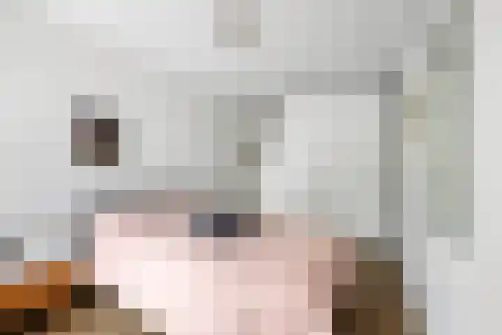 Jacques Dutilhweg 697 Rotterdam thumbnail 14