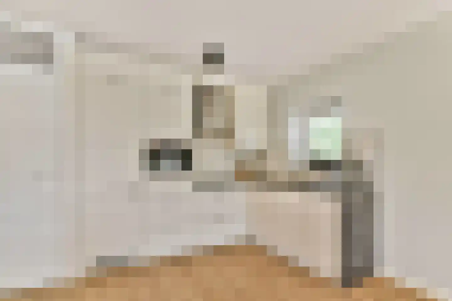 Jacques Dutilhweg 701 Rotterdam thumbnail 12