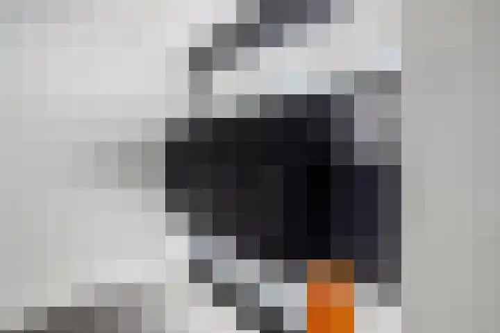 Jacques Dutilhweg 723 Rotterdam thumbnail 29