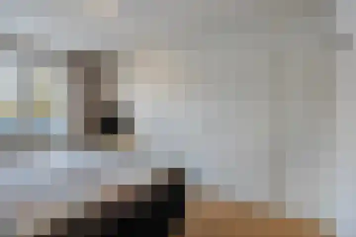 Jacques Lebel 2 Eijsden thumbnail 18