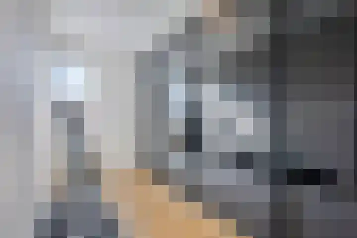 Jacques Lebel 2 Eijsden thumbnail 21