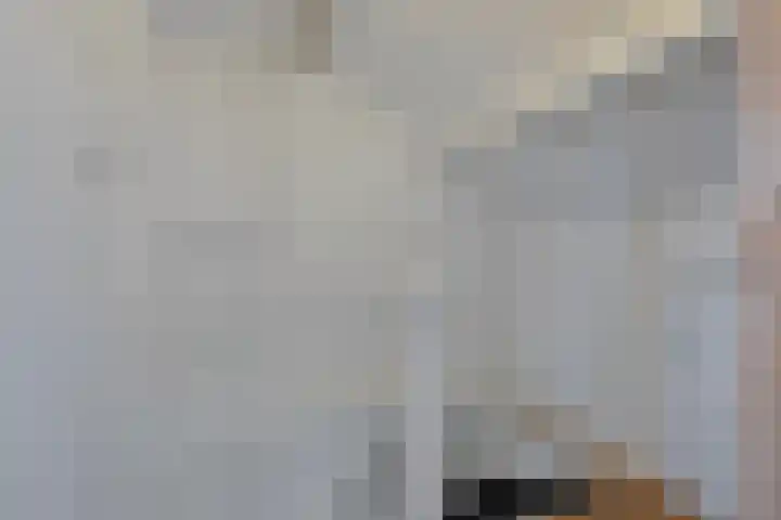Jacques Lebel 2 Eijsden thumbnail 25