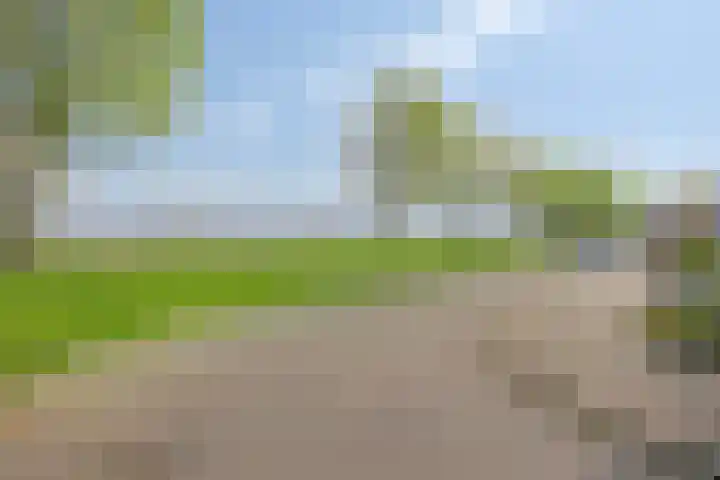 Jacques Lebel 2 Eijsden thumbnail 40