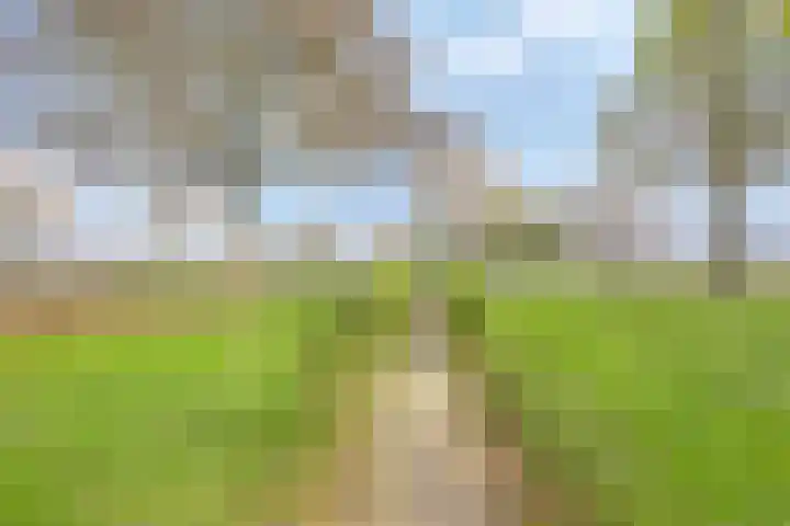 Jacques Lebel 2 Eijsden thumbnail 42