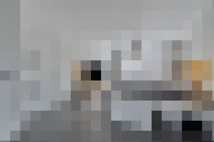 Jacques Lebel 2 Eijsden thumbnail 6