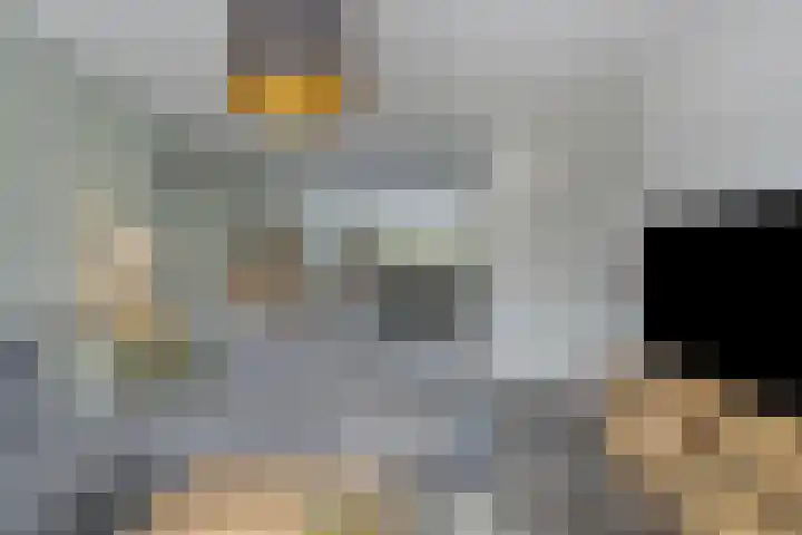 Jacques Lebel 2 Eijsden thumbnail 7
