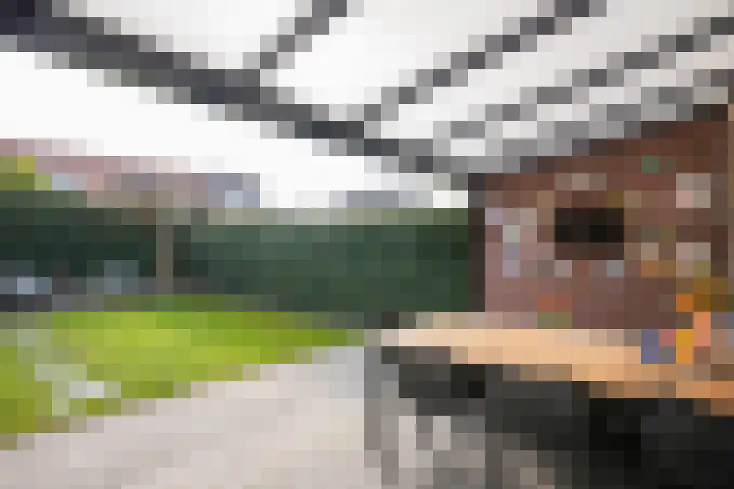 Jacques Lebel 33 Eijsden thumbnail 36