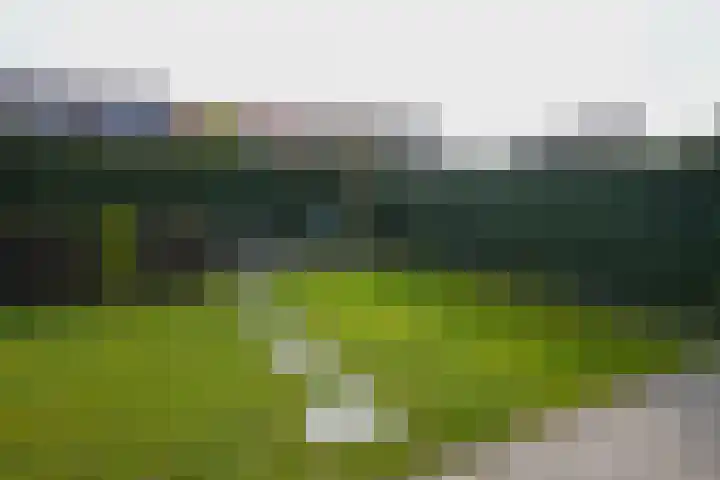 Jacques Lebel 33 Eijsden thumbnail 38