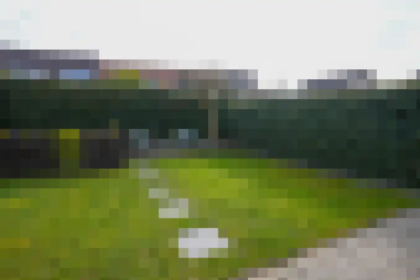 Jacques Lebel 33 Eijsden thumbnail 38
