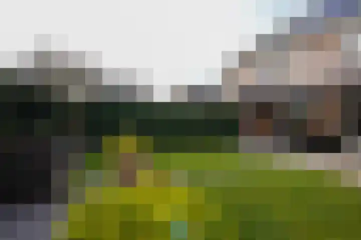 Jacques Lebel 33 Eijsden thumbnail 4