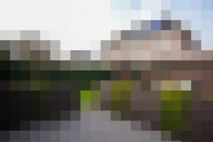 Jacques Lebel 33 Eijsden thumbnail 45